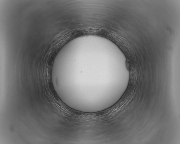 X0000111361058200907100951