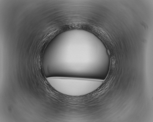 X0000111361060200907100951