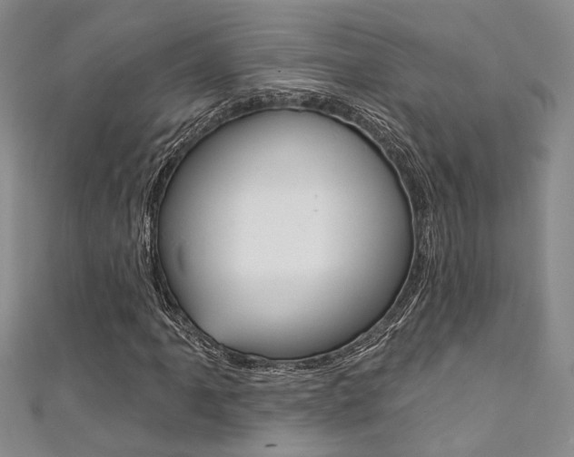 X0000111361061200907100951