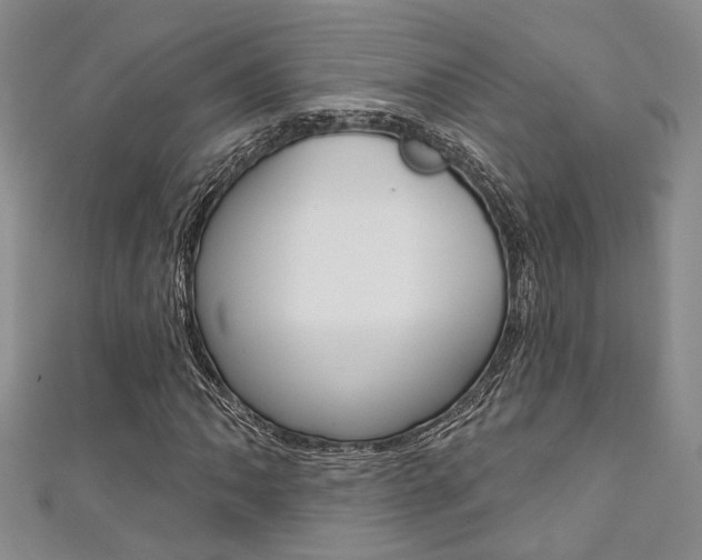 X0000111361062200907100951
