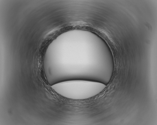 X0000111361063200907100951