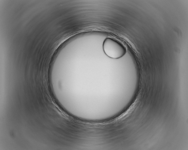 X0000111361065200907100951