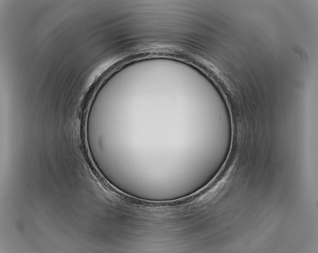 X0000111361066200907100951