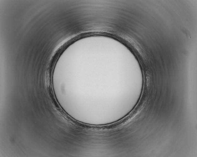 X0000111361069200907100951