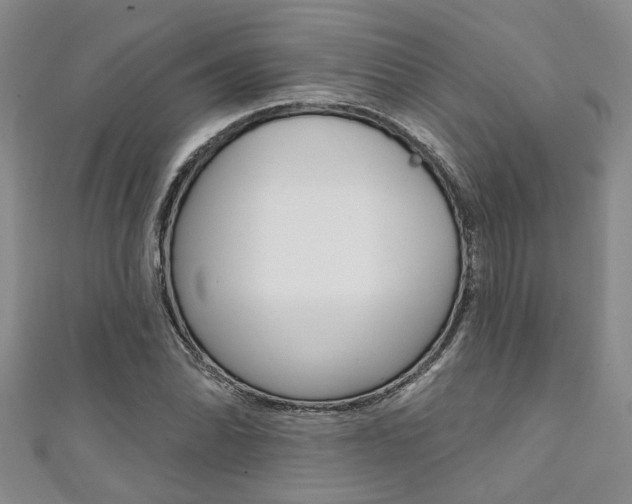 X0000111361070200907100951