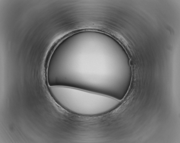 X0000111361072200907100951