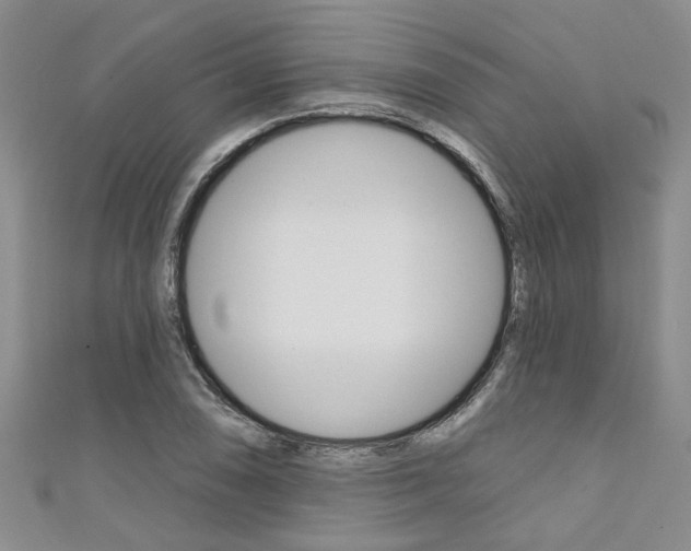 X0000111361074200907100951