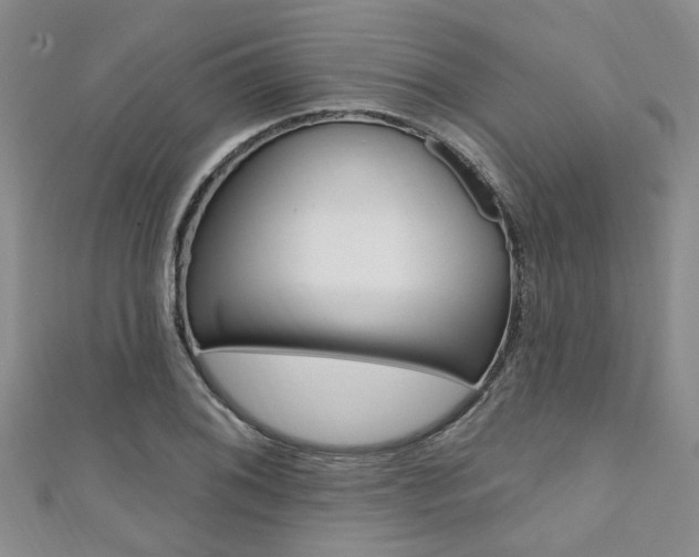 X0000111361076200907100951