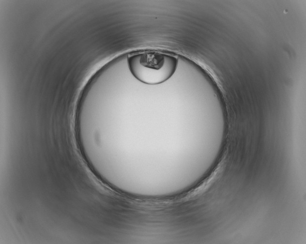 X0000111361077200907100951