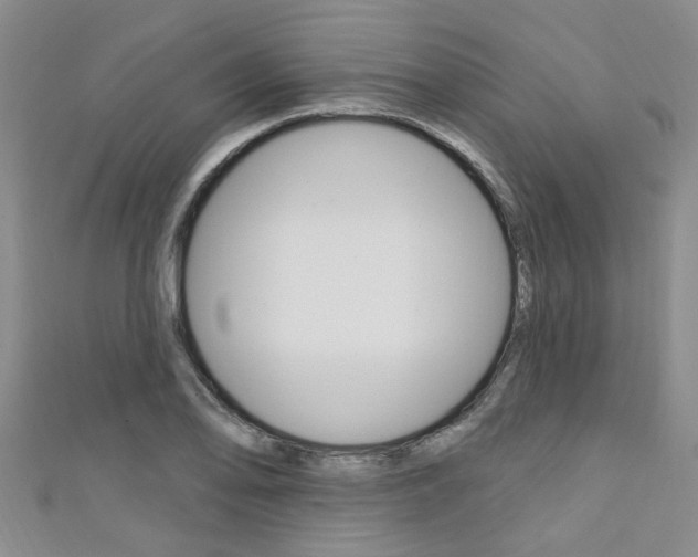 X0000111361078200907100951