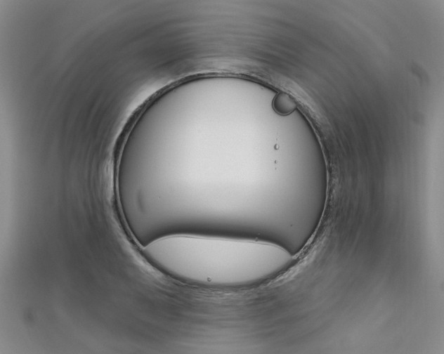 X0000111361079200907100951
