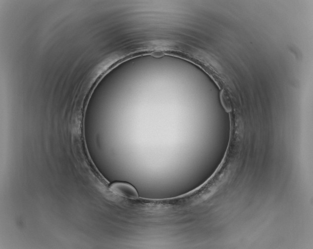 X0000111361081200907100951
