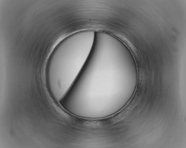 X0000111361083200907100951
