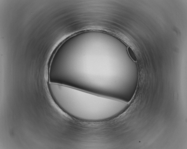 X0000111361084200907100951