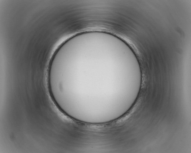 X0000111361086200907100951