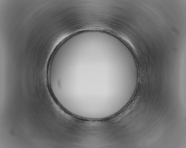 X0000111361087200907100951