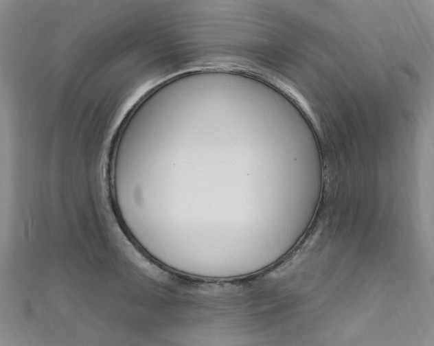 X0000111361091200907100951