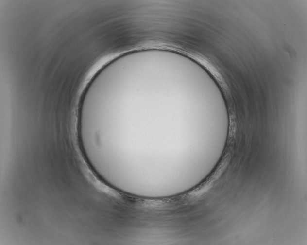 X0000111361094200907100951