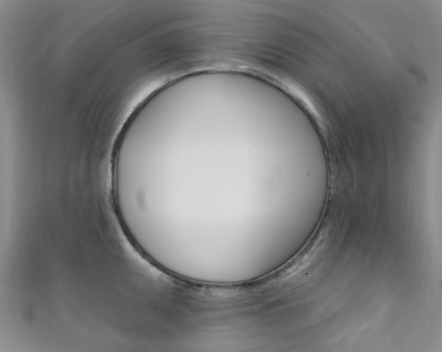 X0000111361095200907100951
