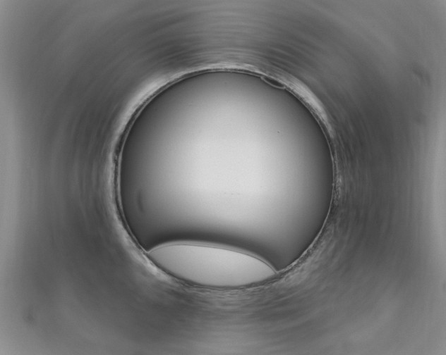 X0000111361096200907100951