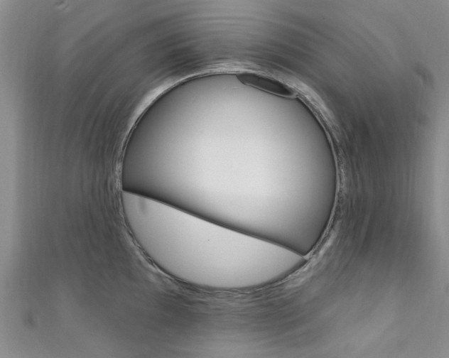 X0000111361097200907100951