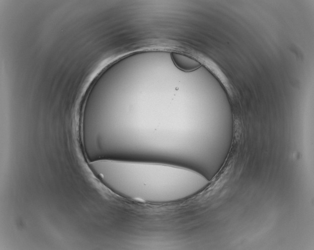 X0000111361099200907100951