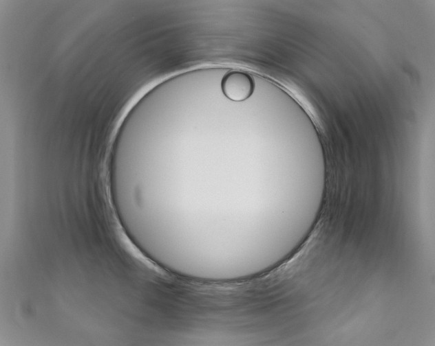X0000111361100200907100951