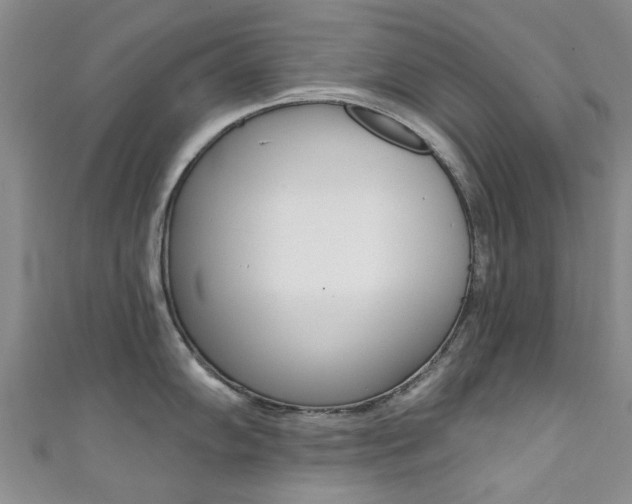 X0000111361102200907100951