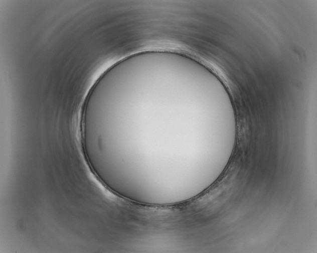 X0000111361103200907100951