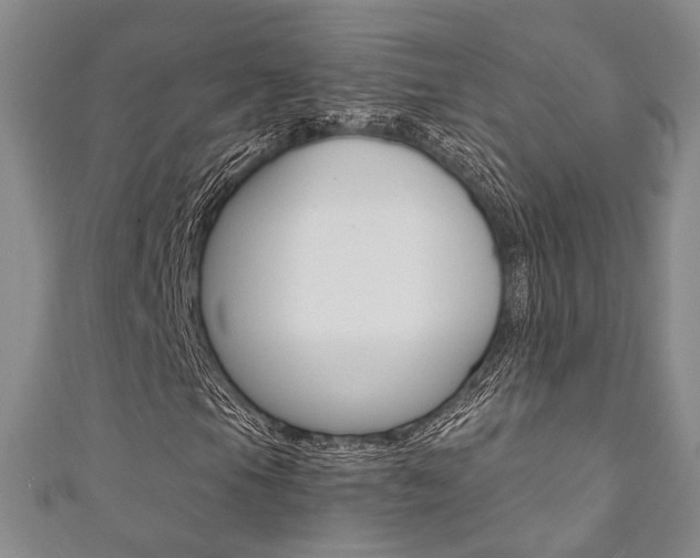 X0000111361105200907100950