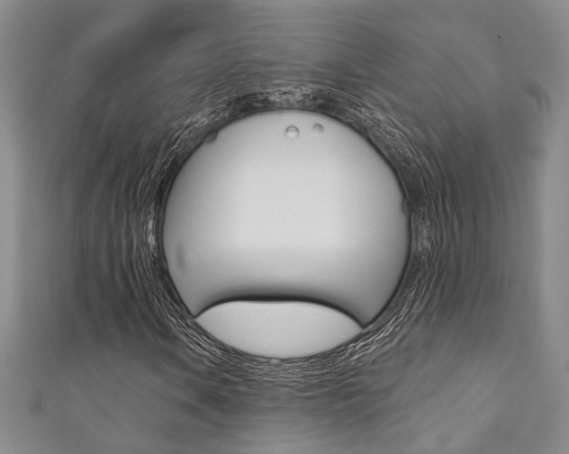 X0000111361106200907100950