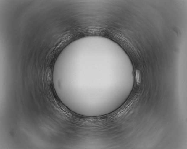 X0000111361107200907100950
