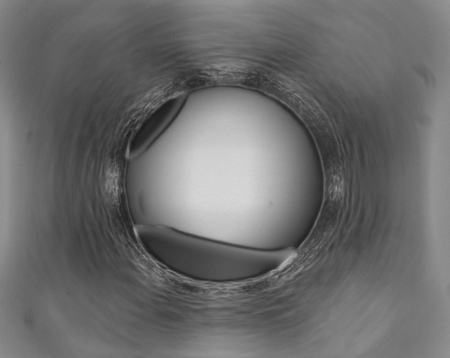 X0000111361108200907100950