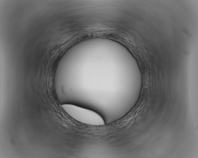 X0000111361109200907100950