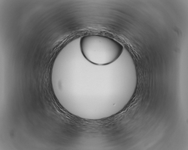 X0000111361110200907100950