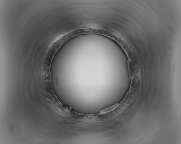 X0000111361112200907100950