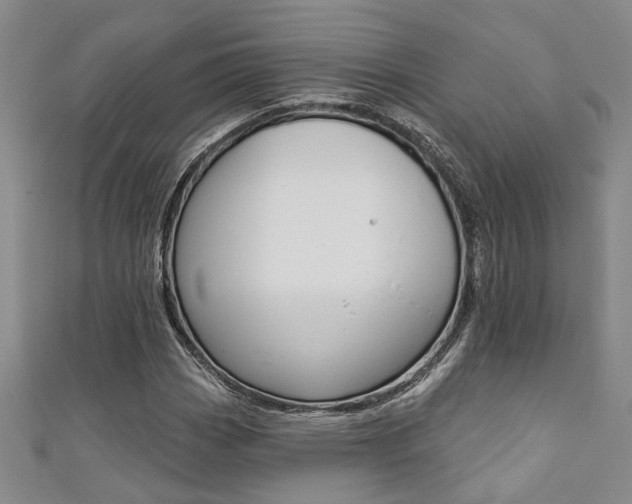 X0000111361113200907100950