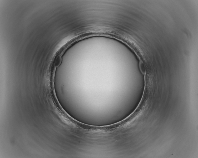 X0000111361114200907100950