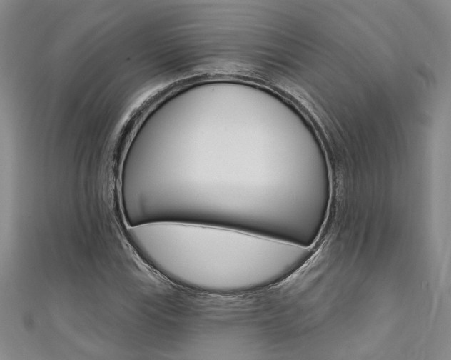 X0000111361115200907100950