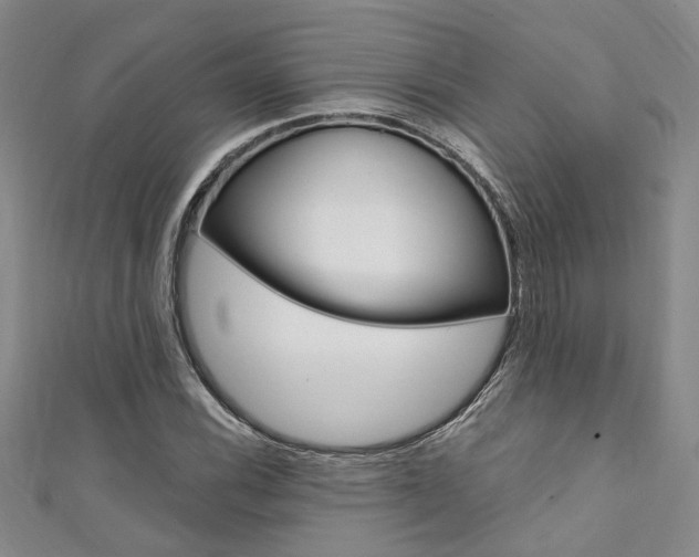 X0000111361116200907100950