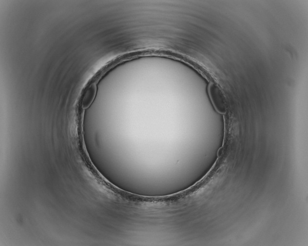 X0000111361118200907100950
