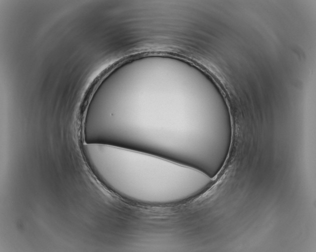 X0000111361119200907100950