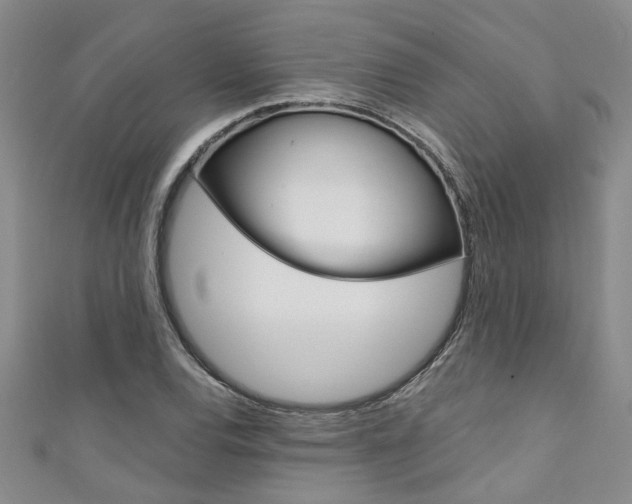 X0000111361120200907100950