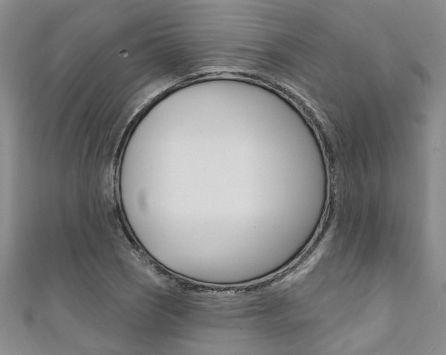 X0000111361121200907100950