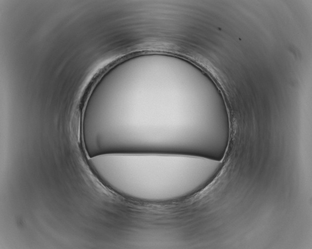 X0000111361123200907100950