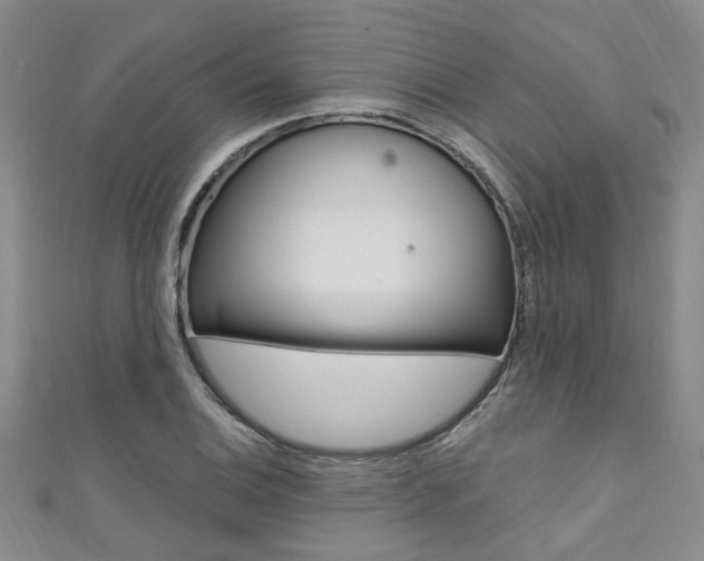 X0000111361124200907100950