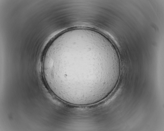 X0000111361125200907100950