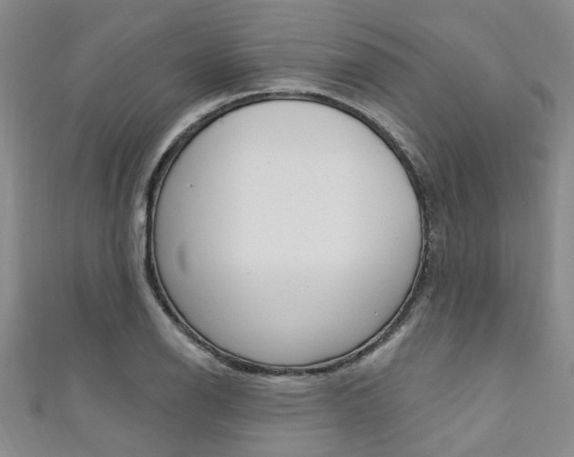 X0000111361126200907100950