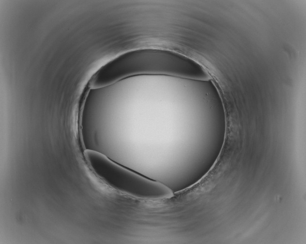 X0000111361128200907100950