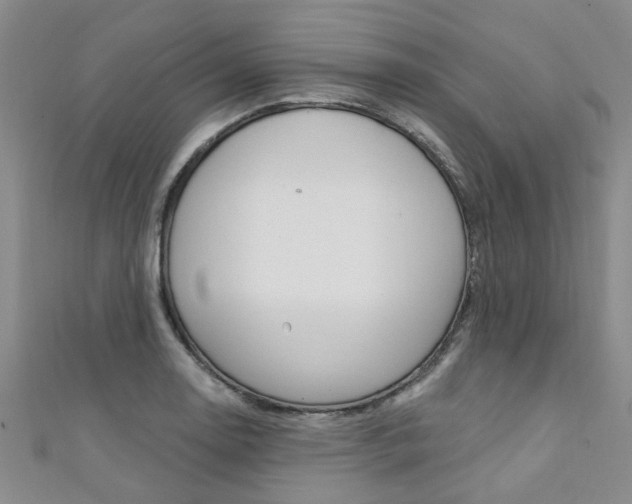 X0000111361130200907100950